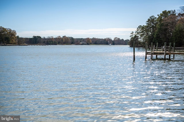 water view featuring a dock