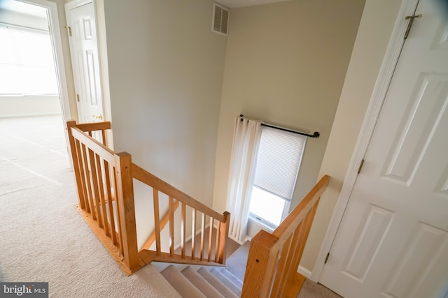 stairs with carpet