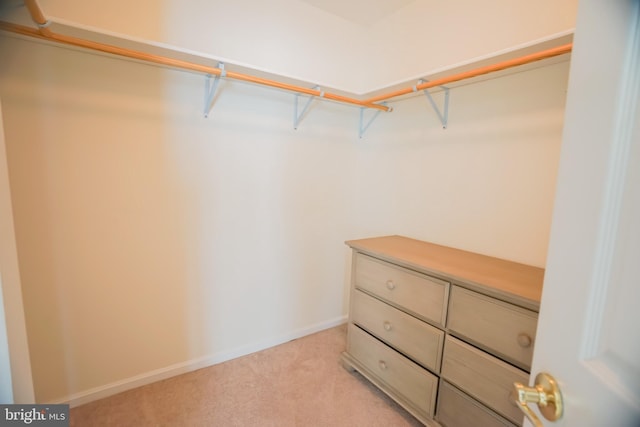 walk in closet featuring light colored carpet