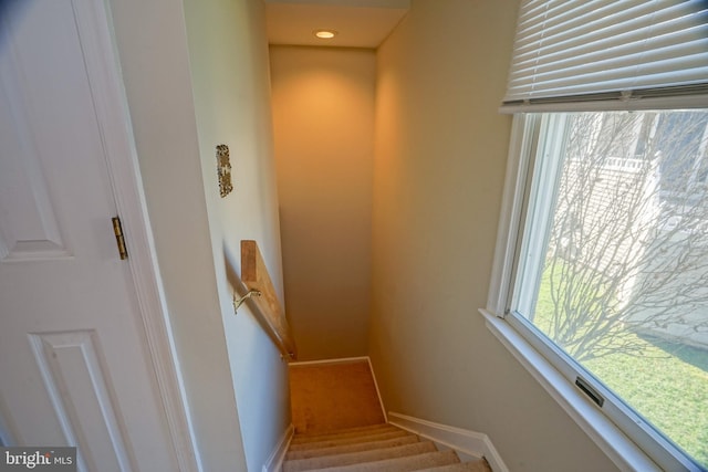 stairway featuring carpet flooring