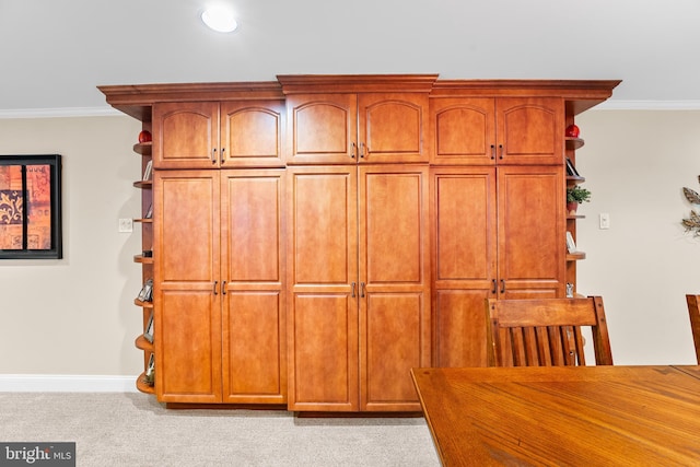 interior details with carpet flooring and crown molding