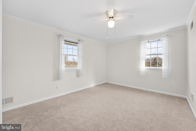 carpeted empty room with plenty of natural light, ceiling fan, and crown molding