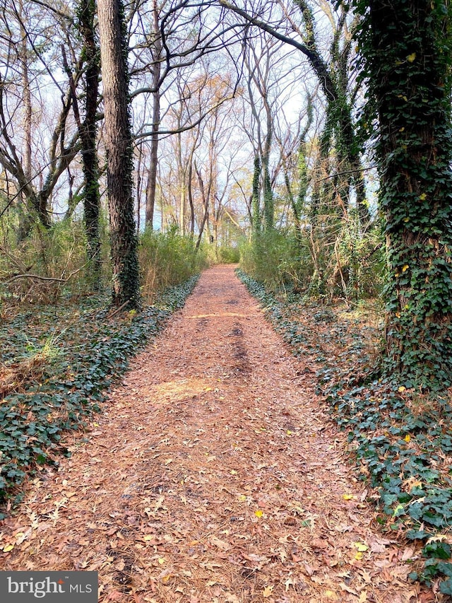 view of road