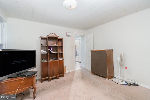 miscellaneous room featuring light colored carpet