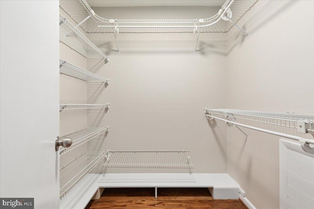 walk in closet featuring wood-type flooring