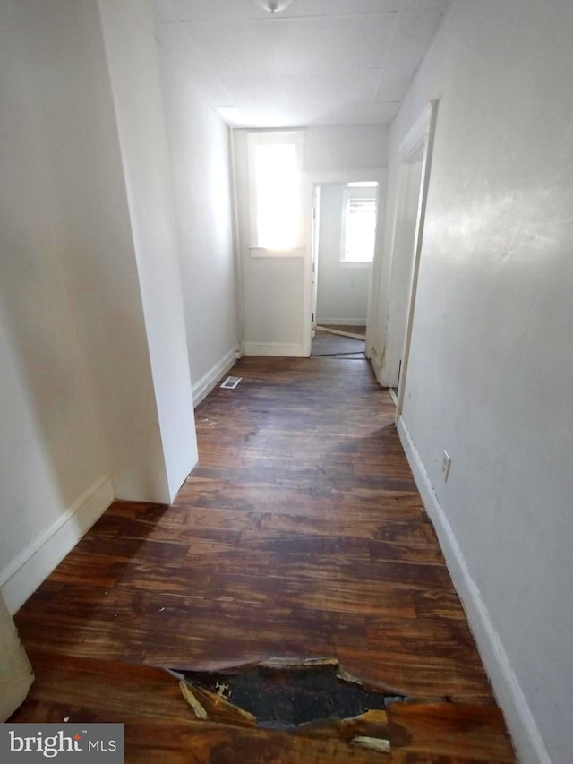 hall featuring dark wood-type flooring