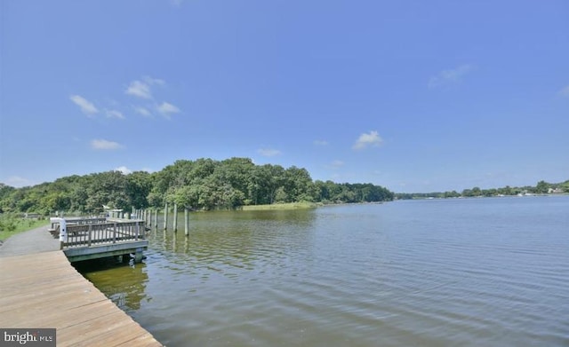 dock area with a water view