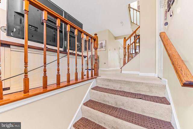 stairway featuring carpet floors