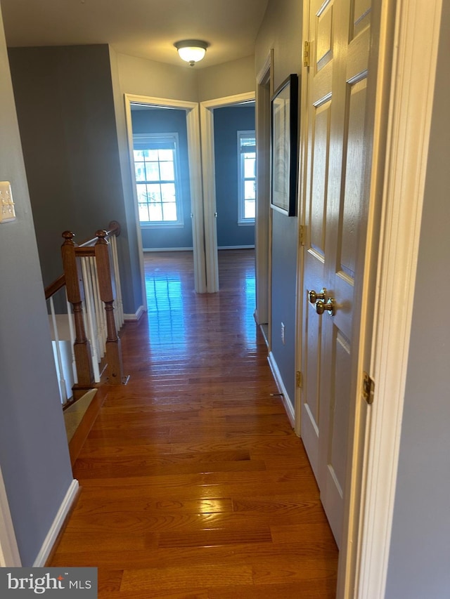 hallway featuring dark hardwood / wood-style floors