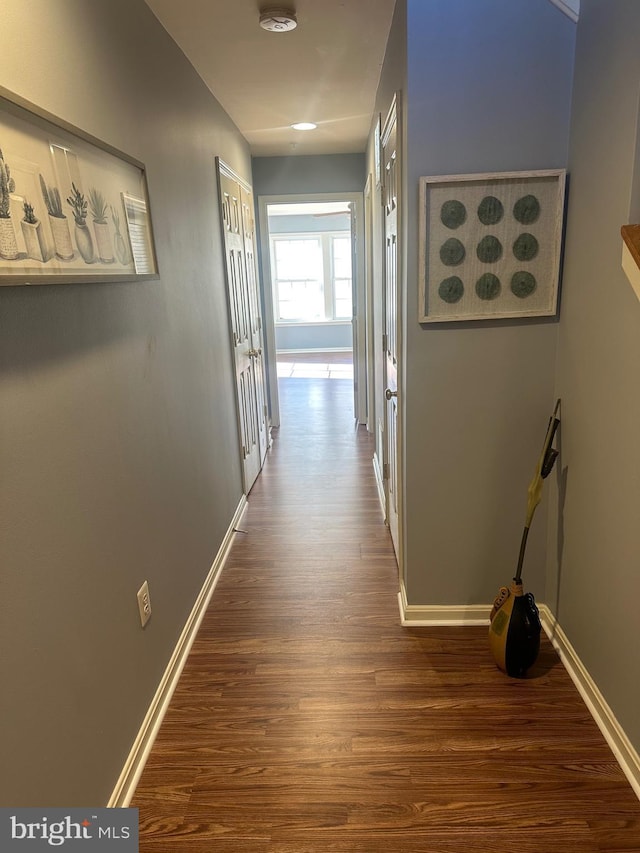 hallway with dark wood-type flooring