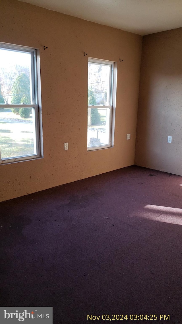 spare room with carpet and a healthy amount of sunlight