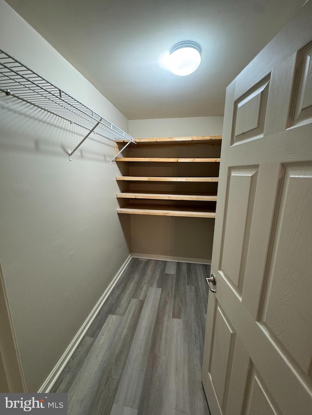 walk in closet with dark hardwood / wood-style floors