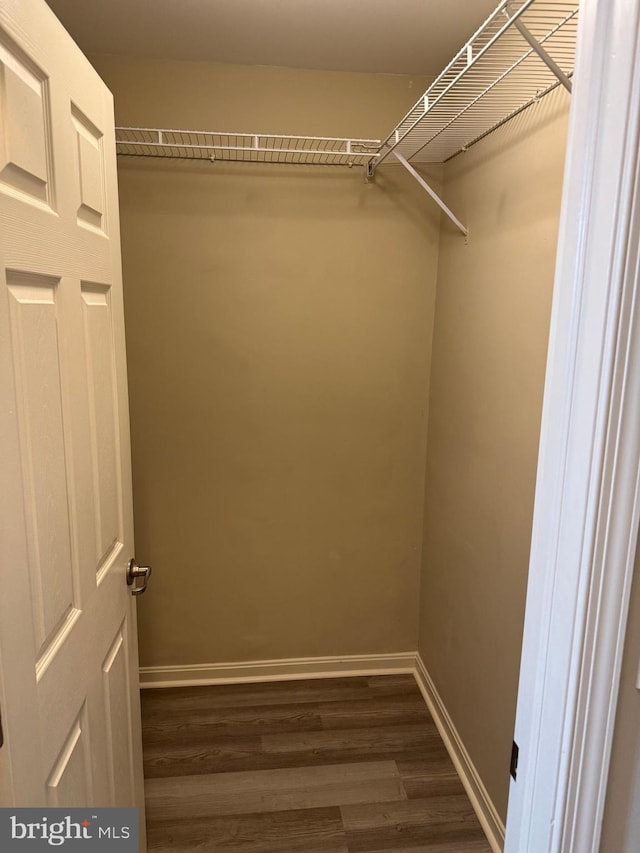 spacious closet featuring dark hardwood / wood-style floors