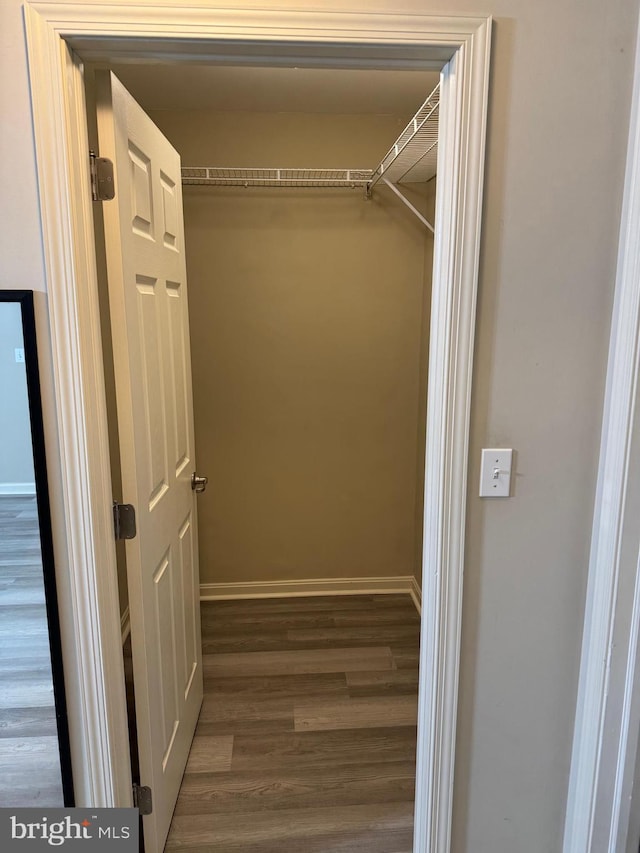 walk in closet featuring dark wood-type flooring