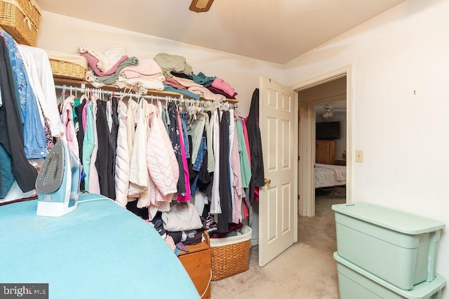 walk in closet featuring ceiling fan and light colored carpet