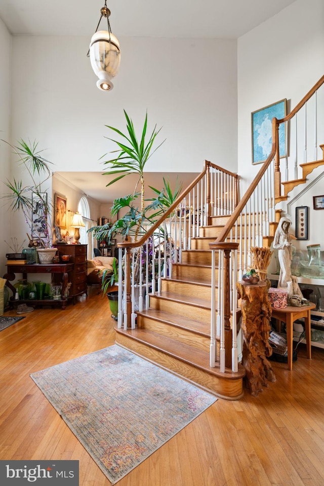 staircase featuring wood-type flooring