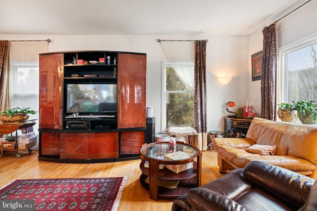 living room featuring hardwood / wood-style floors