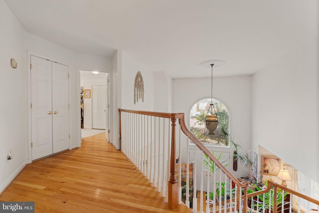 hallway featuring light hardwood / wood-style floors