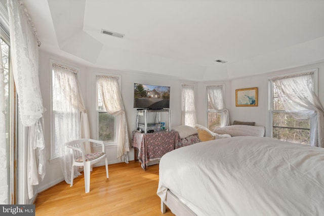 bedroom with hardwood / wood-style flooring, a raised ceiling, and multiple windows