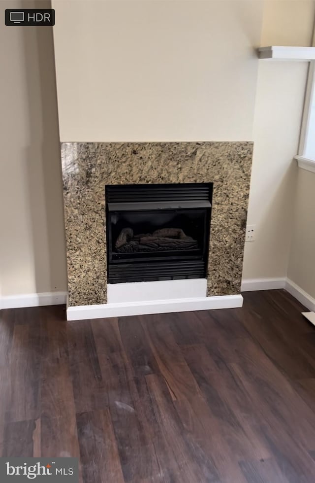 interior details featuring hardwood / wood-style floors and a premium fireplace