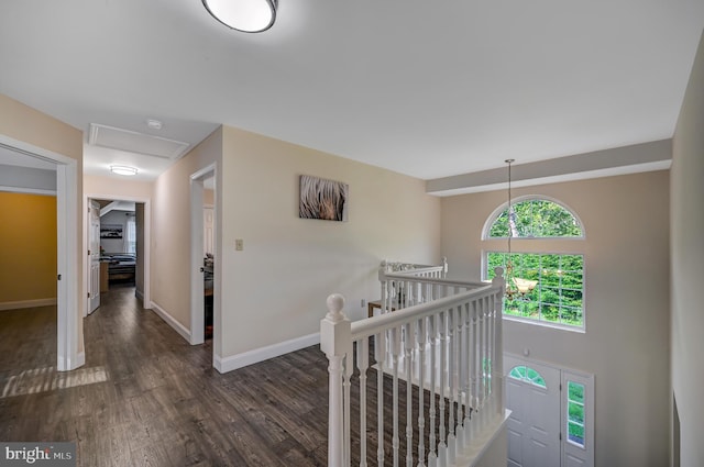 corridor with dark hardwood / wood-style flooring