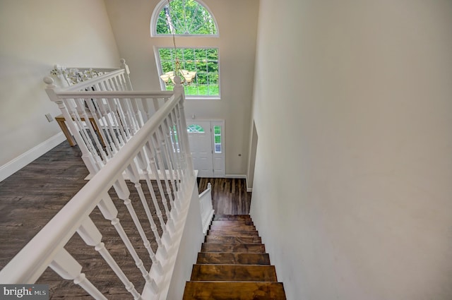 stairs featuring a towering ceiling and hardwood / wood-style flooring