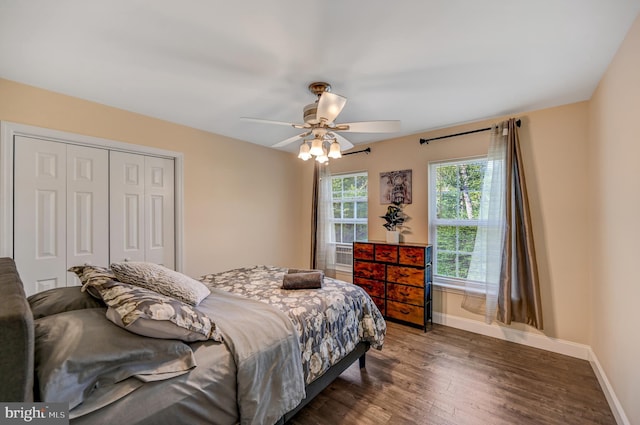 bedroom with dark hardwood / wood-style flooring, a closet, and ceiling fan