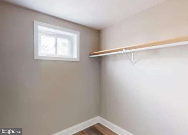 spacious closet with wood-type flooring