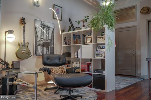 living area featuring dark wood-type flooring