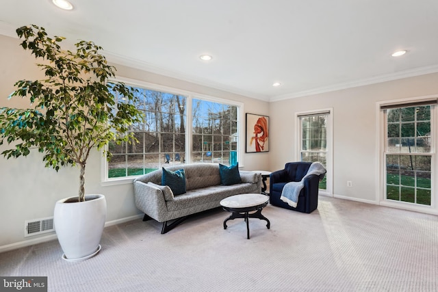 living room with crown molding and carpet floors