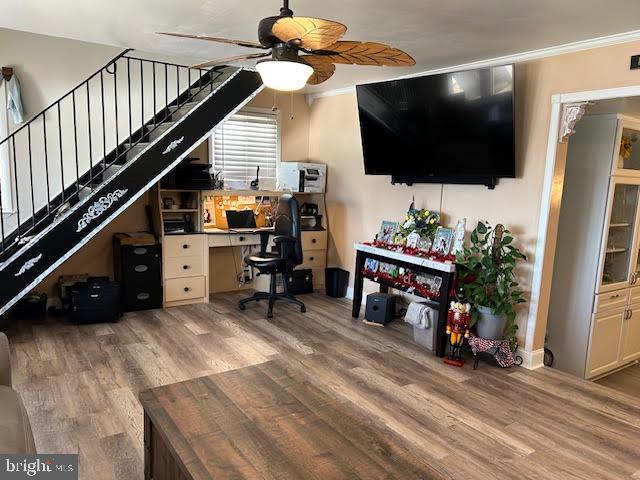 office featuring light hardwood / wood-style flooring, ceiling fan, and ornamental molding