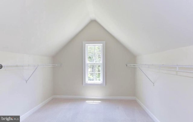 6614 Quander Rd, Alexandria, VA 22307 - spacious closet with light colored carpet and vaulted ceiling