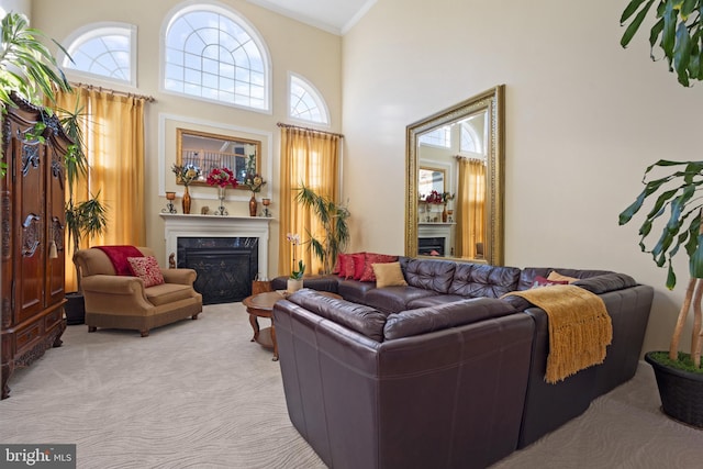 carpeted living room with crown molding and a towering ceiling