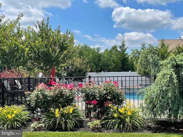 view of pool