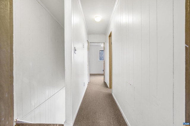 hallway with carpet, ornamental molding, and wooden walls