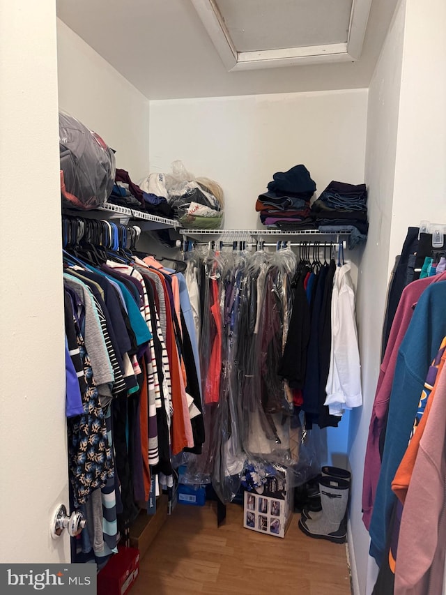 walk in closet with hardwood / wood-style flooring