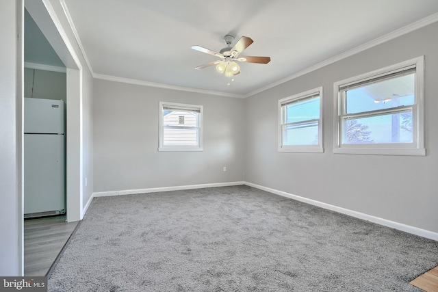 unfurnished room with carpet flooring, ceiling fan, and crown molding