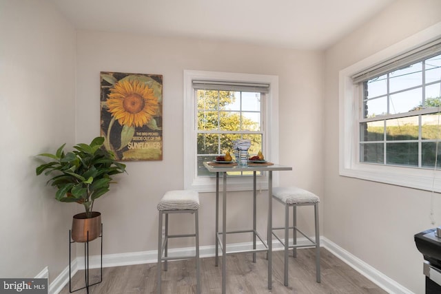 dining room with hardwood / wood-style flooring