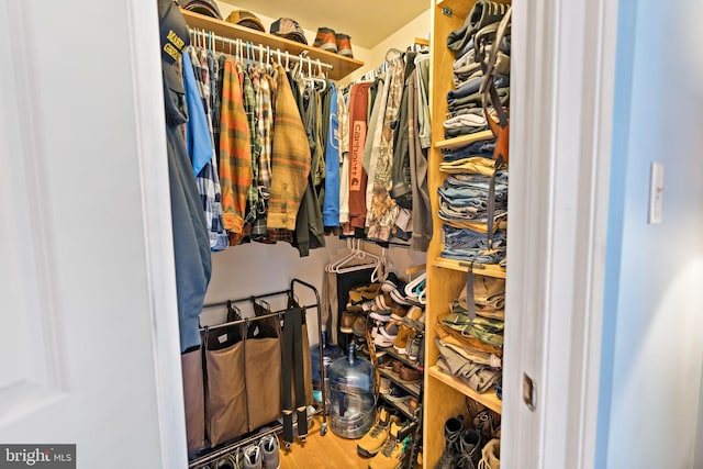 walk in closet featuring hardwood / wood-style flooring