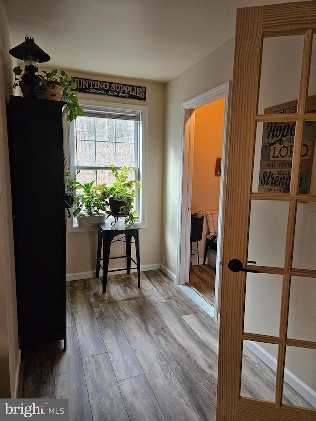 interior space featuring hardwood / wood-style flooring