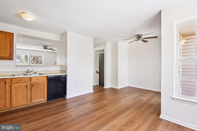 kitchen with ceiling fan, dishwasher, light hardwood / wood-style floors, and sink