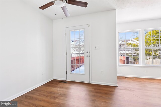 entryway featuring ceiling fan, wood-type flooring, and plenty of natural light