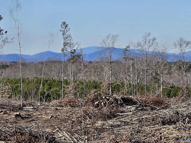 TBD Shelton Store Rd, Wingina VA, 24599 land for sale