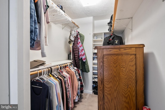 walk in closet featuring light colored carpet