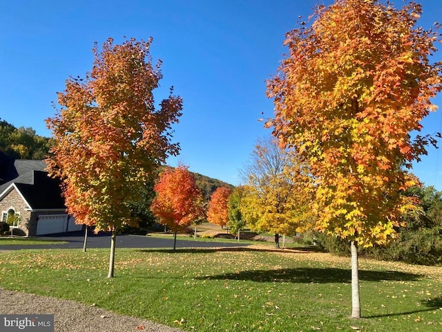 view of community with a yard