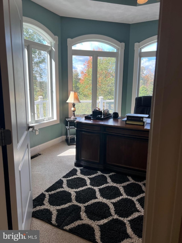 carpeted office space featuring visible vents, a wealth of natural light, and baseboards