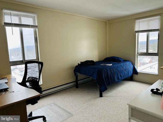 bedroom with carpet