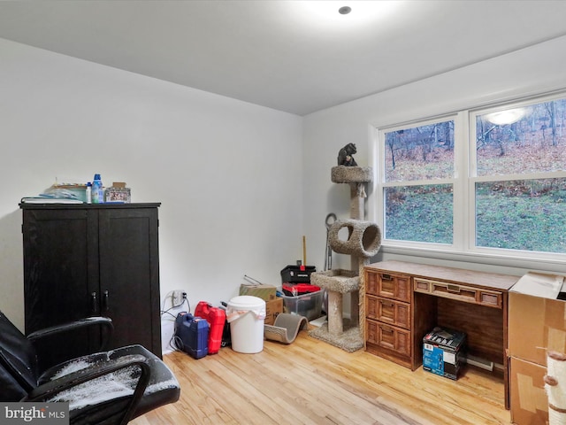 miscellaneous room with light hardwood / wood-style floors