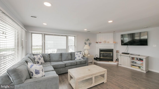 living room featuring a fireplace and dark hardwood / wood-style floors