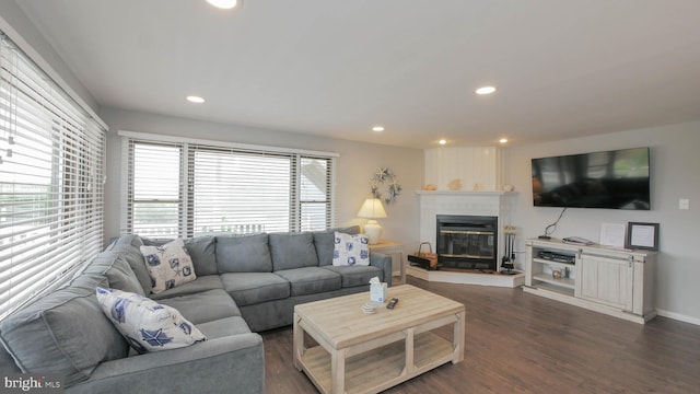 living room featuring a fireplace and dark wood-type flooring